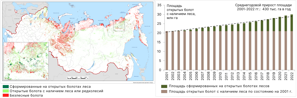 Заросшие в период 2001–2022 гг. лесной древесной растительностью территории открытых болот России (слева) и ежегодная динамика их площади (справа)