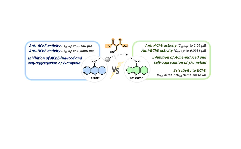 Новые подходы к терапии болезни Альцгеймера: мультитаргетные соединения с селективным действием на холинэстеразу