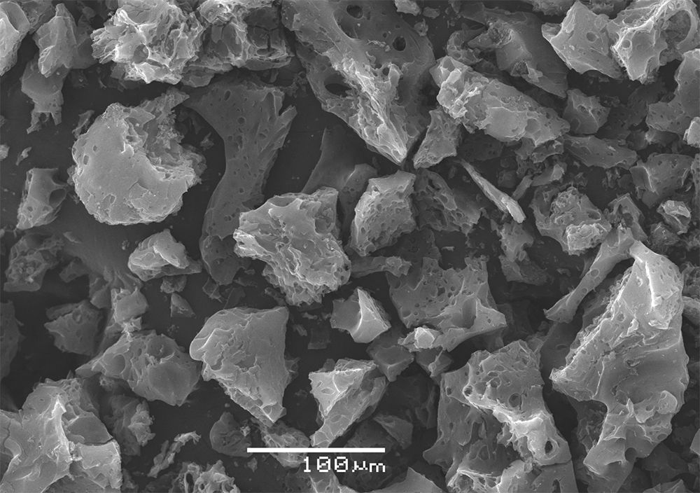 Сканирующая электронная микроскопия угля из скорлупы кедрового ореха. Изображение предоставлено исследователями.