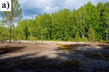 Талмовские пески, общий вид хвостохранилища