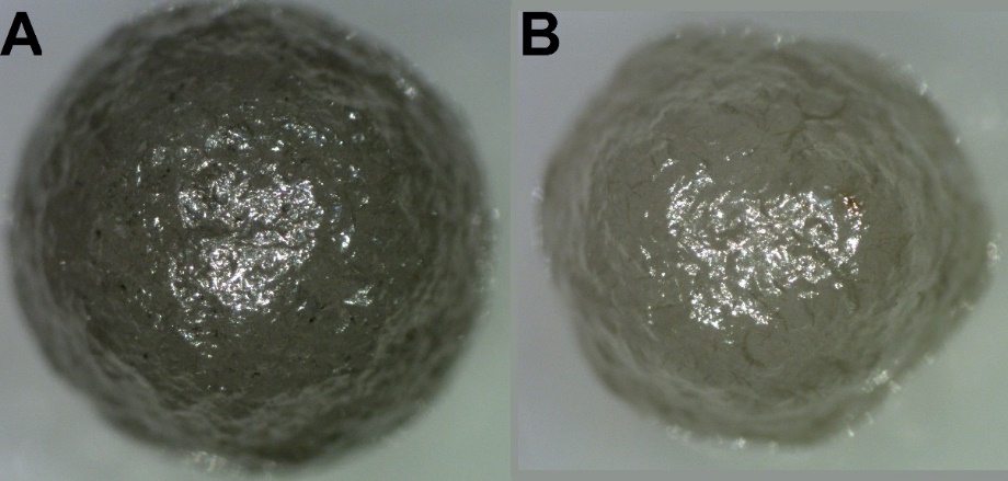 Исследование структуры природного балласа – сферической разновидности поликристаллического алмаза
