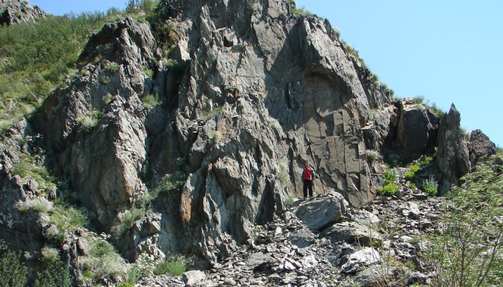  В Горном Алтае найдено ископаемое беспозвоночное с «родственниками» в США и Казахстане