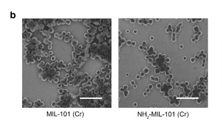  Разработана новая система наночастиц для доставки антибиотиков прямо в лёгкие