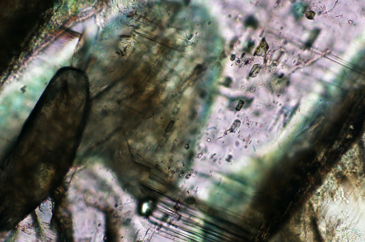 Фото: ИГМ СО РАН Твердофазные и расплавные включения