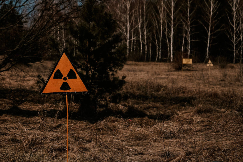 Что происходит с почвой после трагедии в Чернобыле
