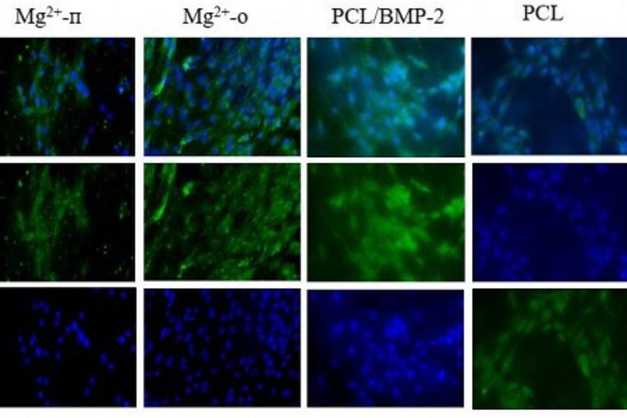 Исчтоник: ИЦИГ СО РАН