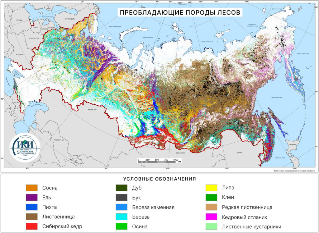 Преобладающие породы лесов на территории России, 2021 г. Данные ИАС «Углерод-Э».