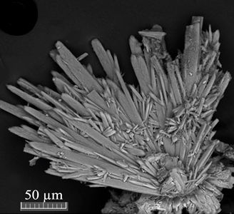 Рапидкрикит встречается в виде отдельных скоплений и образует радиально-лучистые сростки игольчатых кристаллов длиной до 200 микронов.