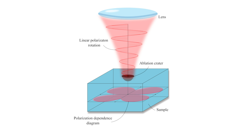 Поляризационная зависимость лазерной абляции поверхности алмаза с симметрией четвертого порядка. Источник: Krasin et al. / Applied Surface Science, 2022.
