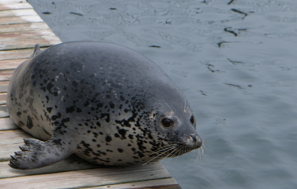 DSCF4841.JPG