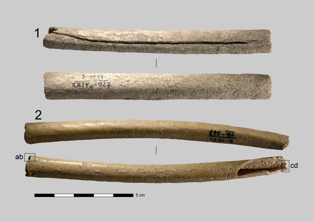 Общий вид костяных игольников. Иллюстрация: ИАЭТ СО РАН