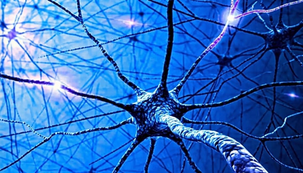  От «белого шума» к «дробовому»: новая модель точнее описывает ритмы мозга