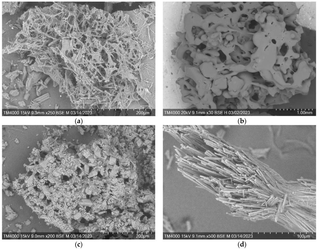 Образцы арабиногалактана и его производных. Фотография со сканирующего электронного микроскопа.