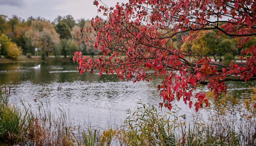 Правительство России утвердило единый реестр особо ценных природных объектов