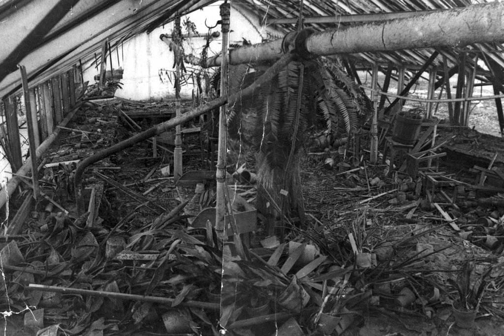 Разрушенная оранжерея Ботанического сада, 1941 год. © Ботанический институт им. В. Л. Комарова Российской академии наук.
