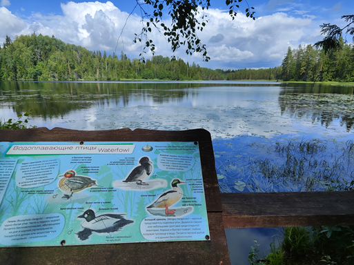 Сезонные климатические факторы химии природных вод на примере Валдайского национального парка