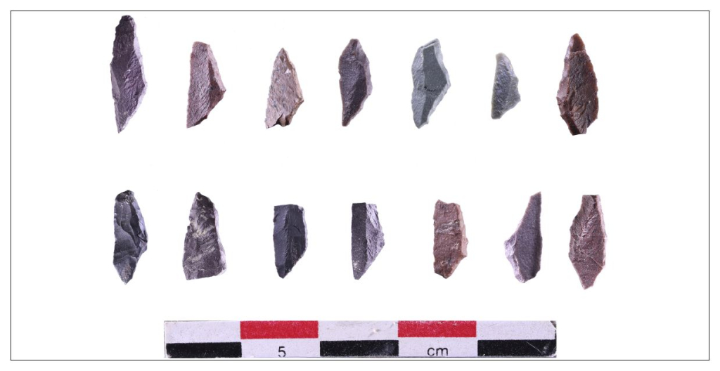 Треугольные микролиты и их фрагменты. Стоянка Узынагаш 3, 2024 г.