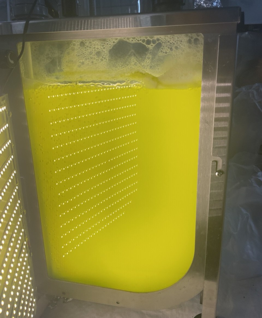 Культивирование микроводоросли Vischeria punctata в плоскостном фотобиореакторе объёмом три литра, разработанном в ИФР РАН