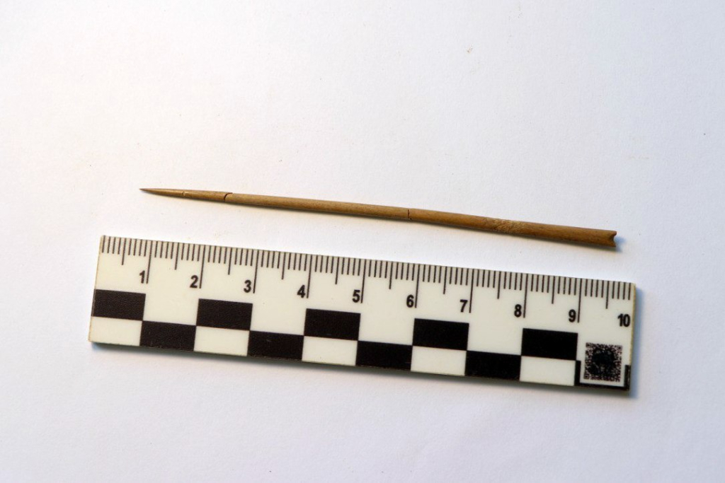 Найдена мастерская по выделке шкур и косторезному делу возрастом 30 тысяч лет