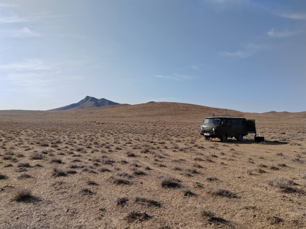 Полевые исследования по сбору перепончатокрылых насекомых в Ферганской долине и пустыне Кызылкум