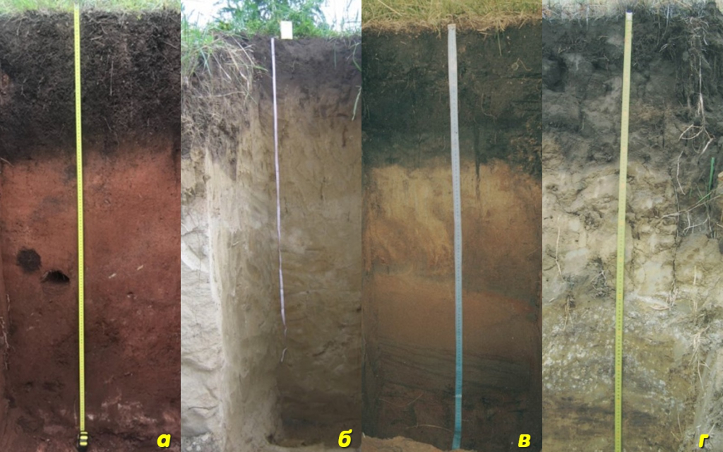 Исследована магнитная восприимчивость почв Сибири
