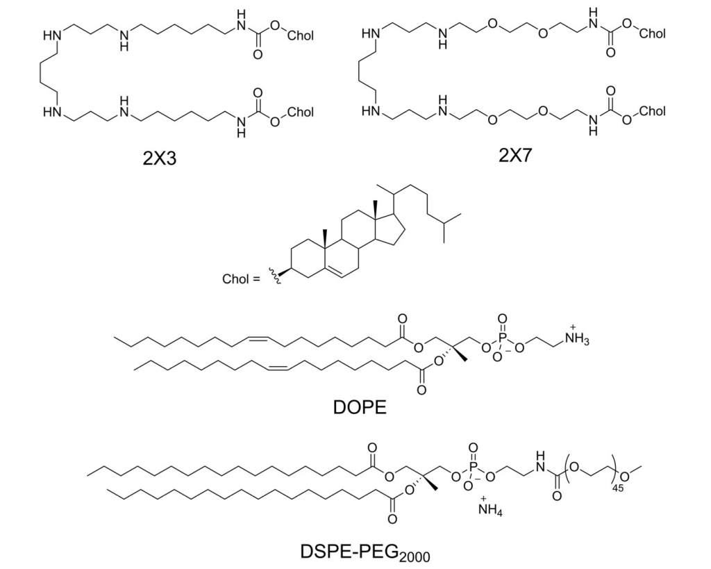Структуры липидов, использованных при синтезе липосом (МИТХТ, Лаборатория липидов): 2Х3 и 2Х7 — катионные (положительно заряженные) липиды (связь с мРНК, т. е. образование липоплексов, и её правильная упаковка для доставки); DOPE — вспомогательный липид (формирование липосом как частиц); DSPE-PEG2000 — добавляется в состав липосом для in vivo экспериментов — увеличение стабильности липосом и липоплексов в кровотоке