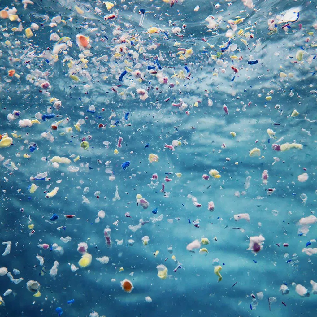  Новая методика анализа полициклических ароматических углеводородов в микропластиках