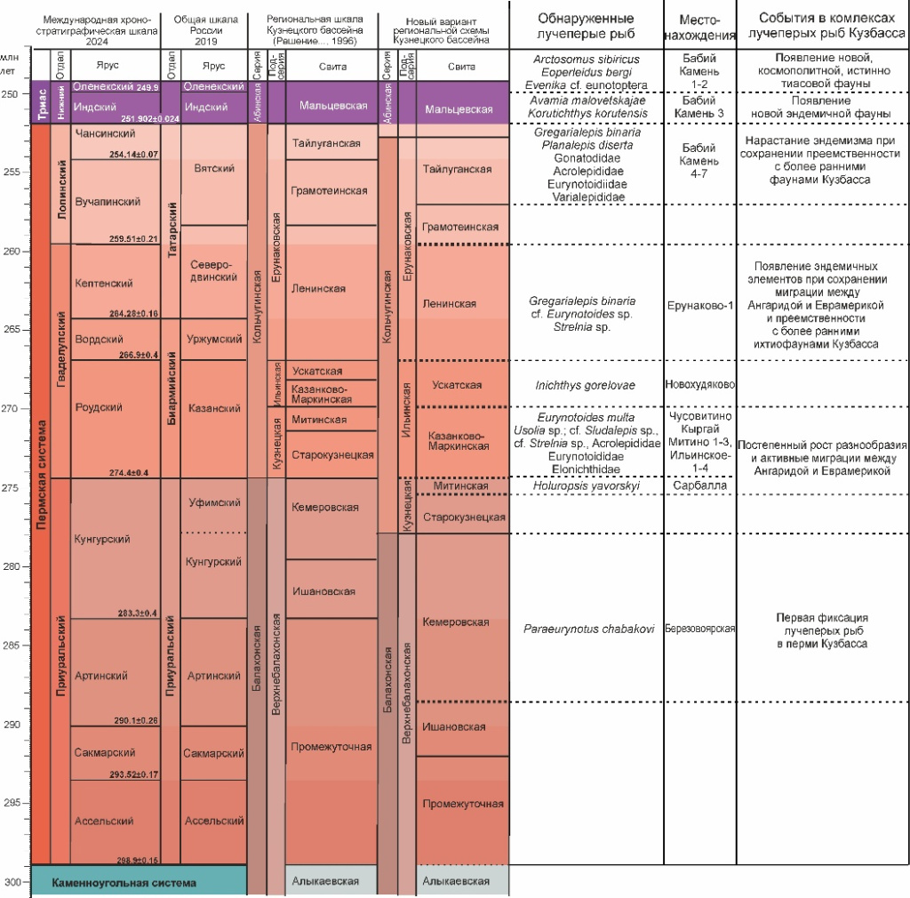 Стратиграфическая схема пермских и триасовых отложений Кузбасса и фаунистические комплексы лучеперых рыб