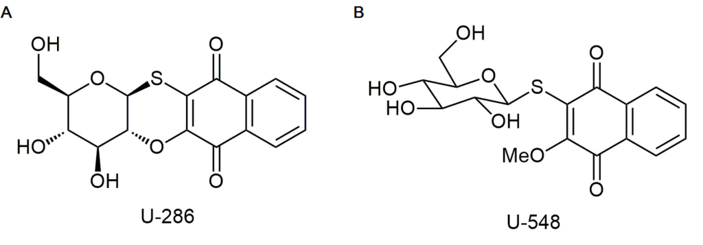 Химическая структура изученных соединений U-286 (A) и U-548 (B)