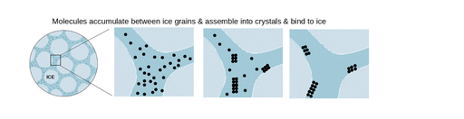 Молекулы растворённых веществ скапливаются в прослойке жидкости между кристаллами, объединяются в наночастицы и «прилипают» к границе кристаллов, мешая им сливаться