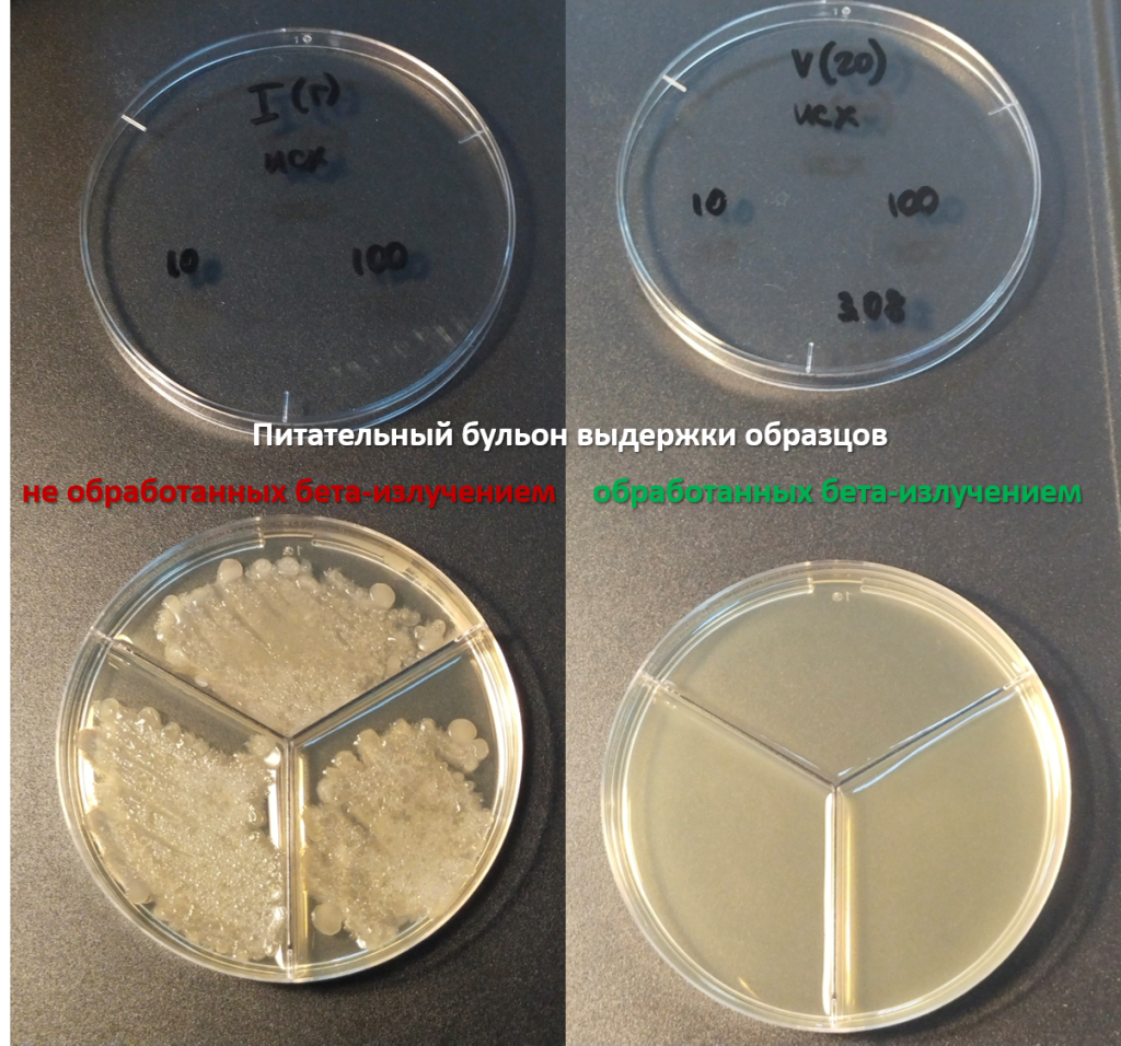 Результаты антибактериального теста