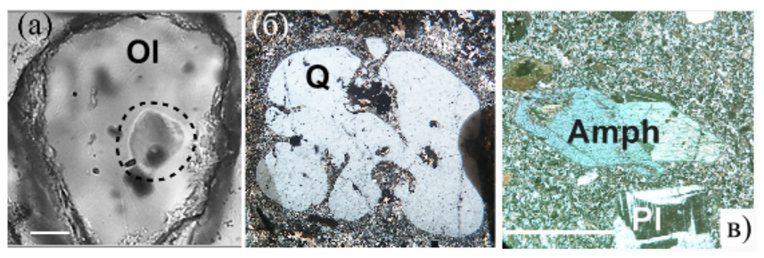 Вкрапленники 1-3 минеральных ассоциаций. Ol — оливин, Q — кварц, Amph — амфибол, Pl — плагиоклаз. Пунктиром выделено расплавное включение в оливине