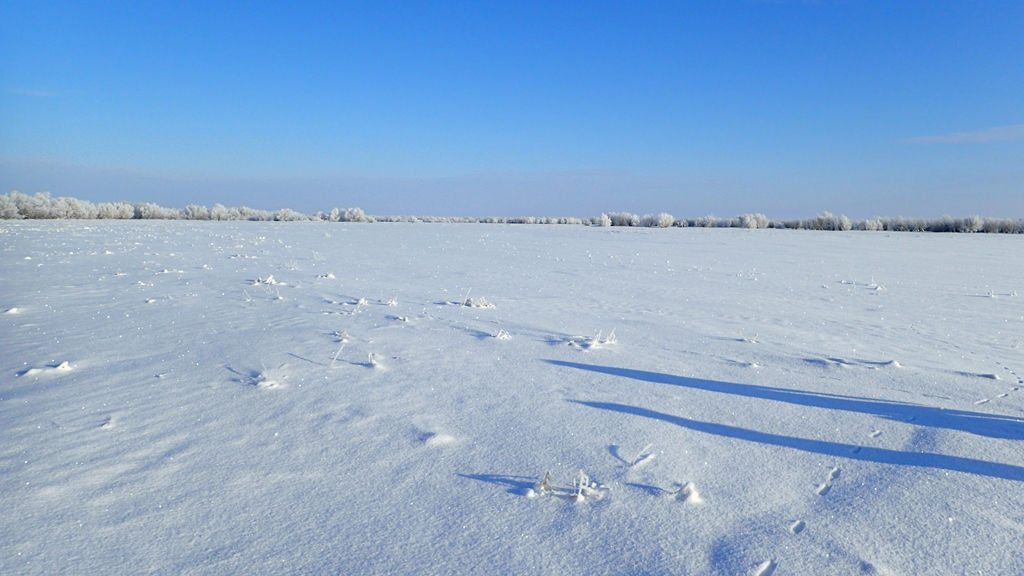 Химия снега: как таяние влияет на состав воды реки Обь